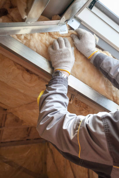 Best Commercial Insulation in Bluff City, TN