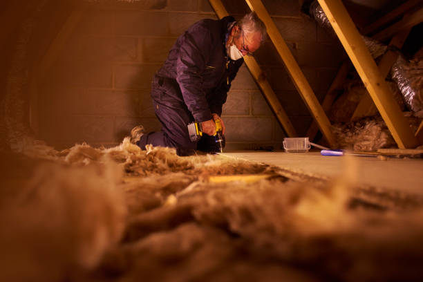 Best Insulation Installation Services in Bluff City, TN